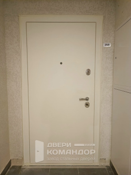 Входная дверь Stardis Expert