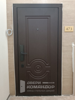 Входная дверь с биометрическим замком