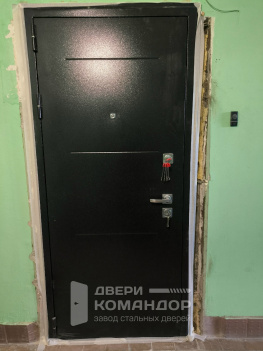 Входная дверь Техно XN99 Букле графит / Дуб сонома АСД