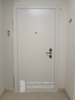 Входная металлическая дверь Stardis Expert  с двухсистемным замком Mottura, с временной панелью