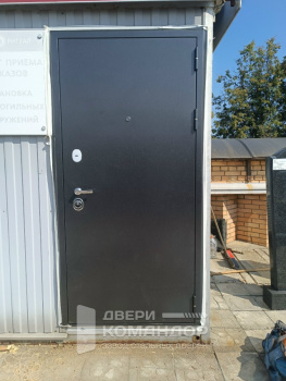 Входная дверь Спартак  тёмное серебро антик / белёный дуб Двери Регионов