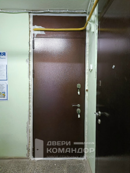 Входная дверь  металл / металл с фрамугой на заказ