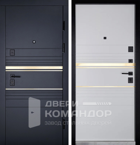 Черная железная дверь №124 с замками CISA