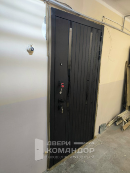 Входная дверь с чёрными молдингами Solana АСД для квартиры