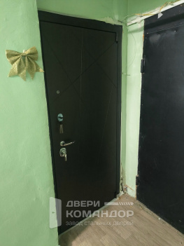 Входная дверь Вектор с зеркалом венге структуры кофе / лиственница белая АСД